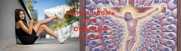 стаф Бородино