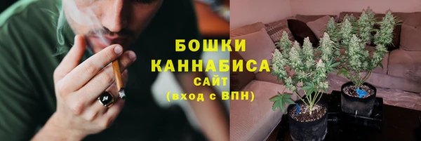 mix Богородицк