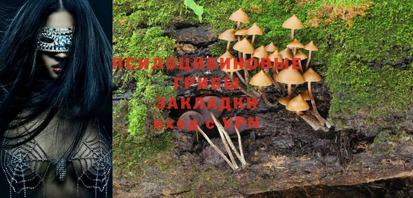 ПСИЛОЦИБИНОВЫЕ ГРИБЫ Богданович