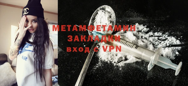 ПСИЛОЦИБИНОВЫЕ ГРИБЫ Богданович