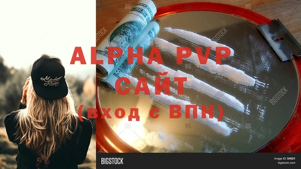 стаф Бородино