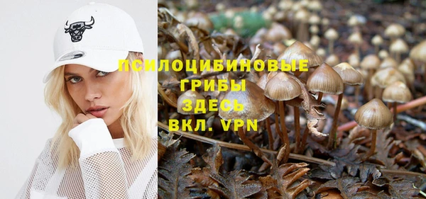 сатива Бугульма
