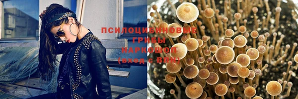 ПСИЛОЦИБИНОВЫЕ ГРИБЫ Богданович