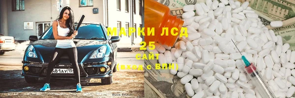 стаф Бородино