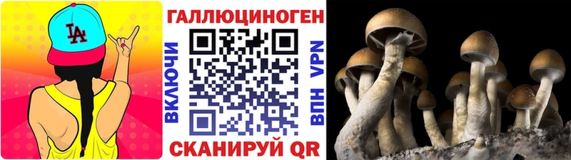 Галлюциногенные грибы GOLDEN TEACHER  цены наркотик  Горняк 